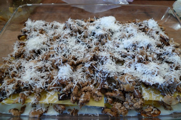 Mushroom and Truffles Ragu